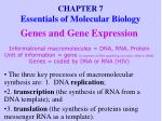 CHAPTER 7 Essentials of Molecular Biology - slide 1