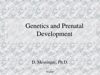 Genetics and Prenatal Development