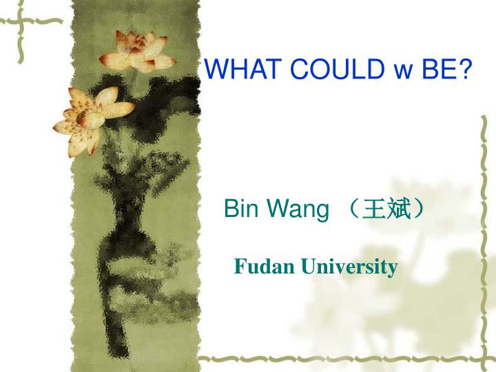 bin wang fudan university