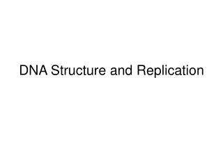 DNA Structure and Replication