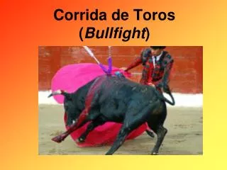 Corrida de Toros ( Bullfight )