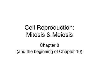 Cell Reproduction: Mitosis &amp; Meiosis