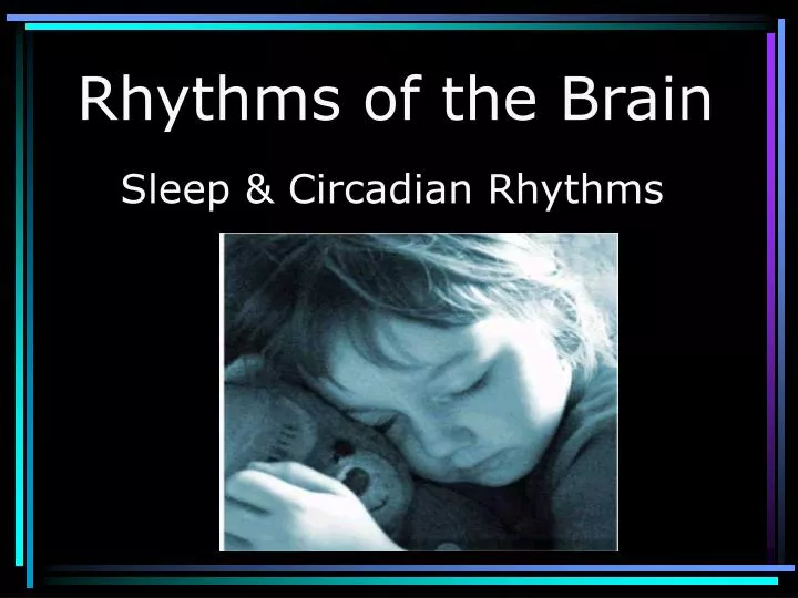 rhythms of the brain
