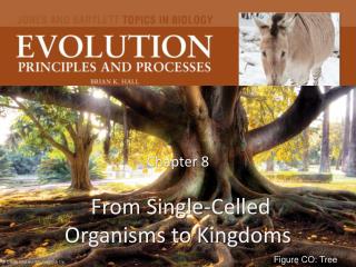 Chapter 8 From Single-Celled Organisms to Kingdoms
