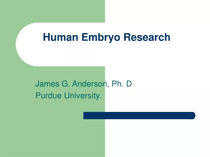 human embryo research