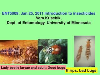 ENT5009: Jan 25, 2011 Introduction to insecticides Vera Krischik, Dept. of Entomology, University of Minnesota