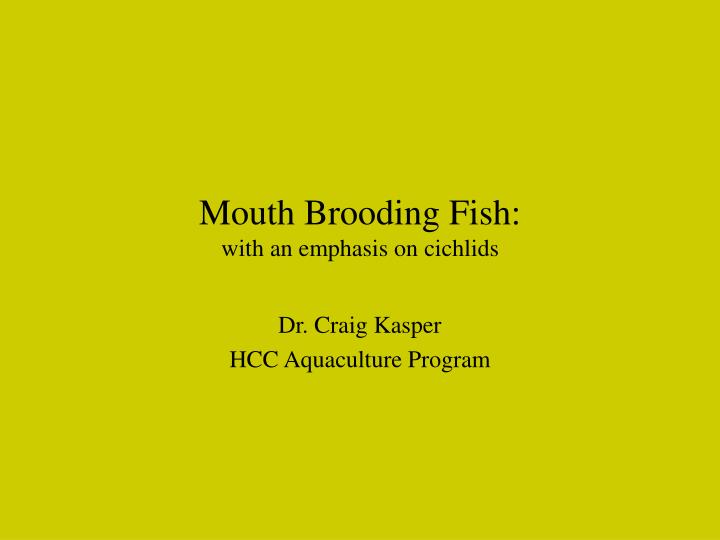 mouth brooding fish with an emphasis on cichlids