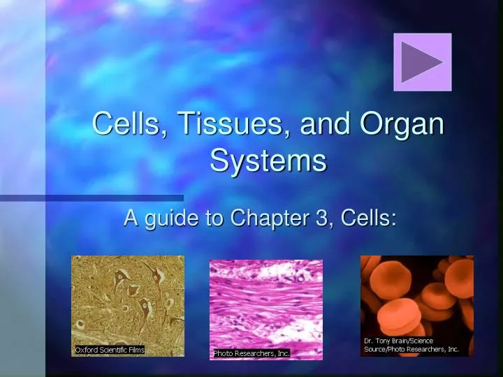 cells tissues and organ systems