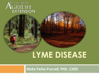 Lyme Disease