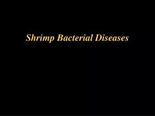 Shrimp Bacterial Diseases