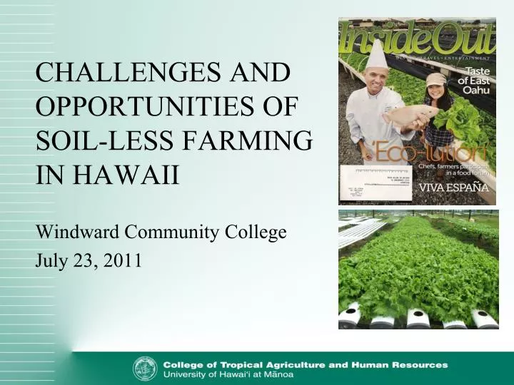 challenges and opportunities of soil less farming in hawaii