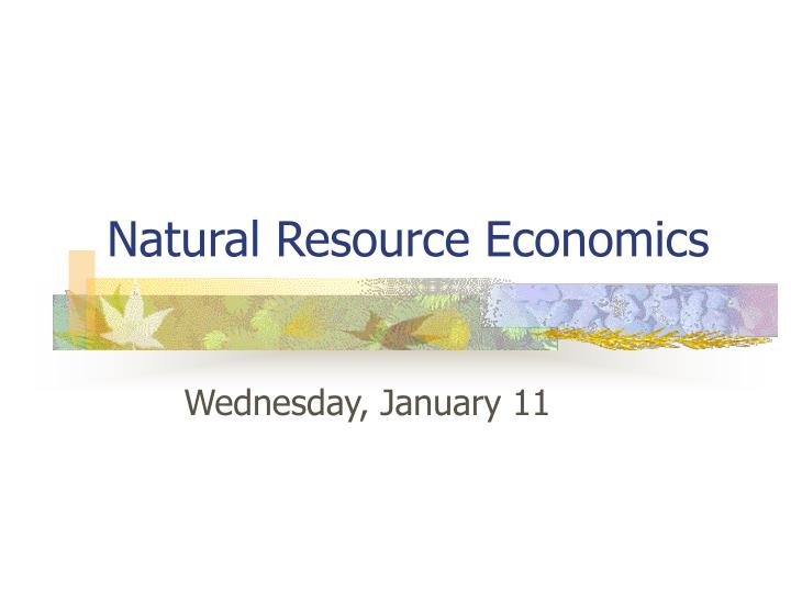 natural resource economics