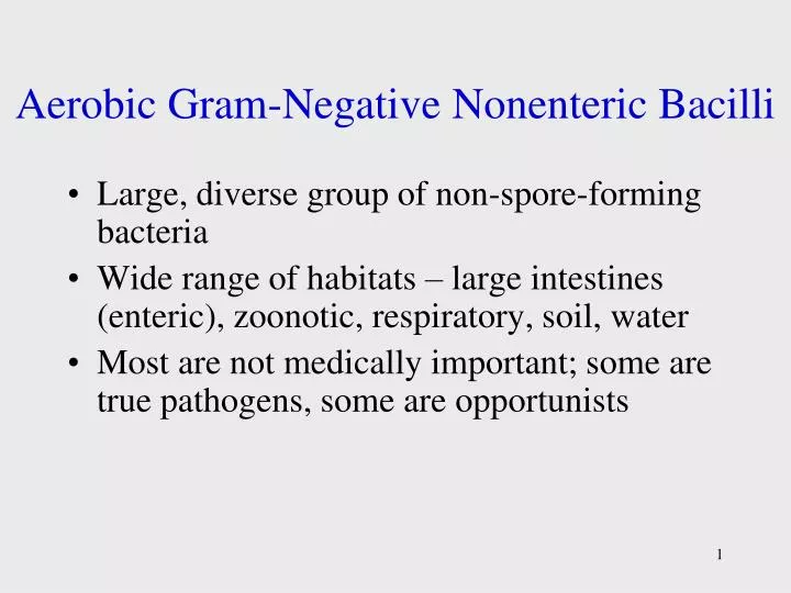 aerobic gram negative nonenteric bacilli