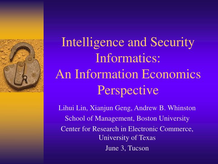 intelligence and security informatics an information economics perspective