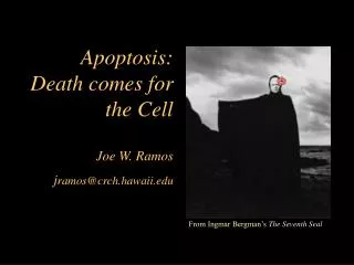 Apoptosis: Death comes for the Cell Joe W. Ramos j ramos@crch.hawaii