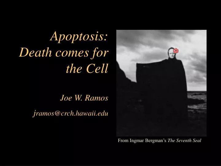 apoptosis death comes for the cell joe w ramos j ramos@crch hawaii edu