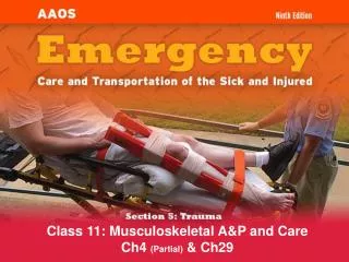 Class 11: Musculoskeletal A&amp;P and Care Ch4 (Partial) &amp; Ch29