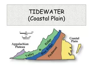 TIDEWATER (Coastal Plain)