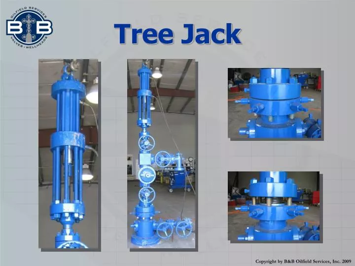 tree jack