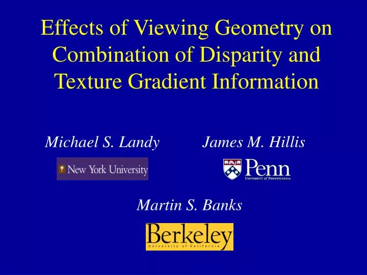 effects of viewing geometry on combination of disparity and texture gradient information