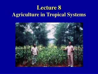 Lecture 8 Agriculture in Tropical Systems