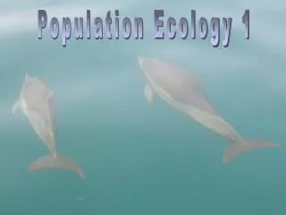 Population Ecology 1