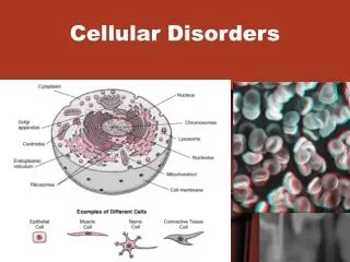 Cellular Disorders