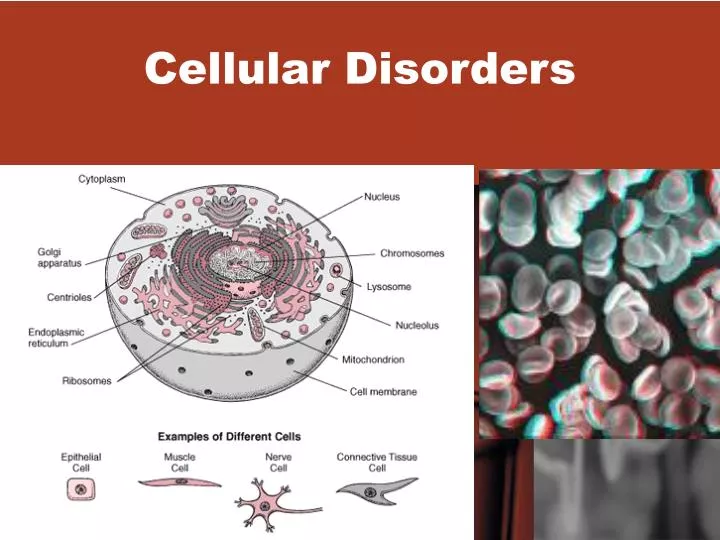 cellular disorders