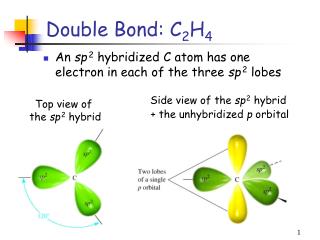 Double Bond: C 2 H 4