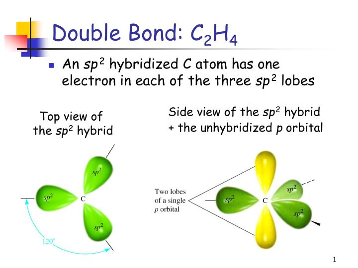 double bond c 2 h 4