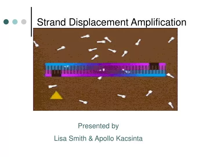 strand displacement amplification