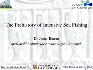 The Prehistory of Intensive Sea Fishing