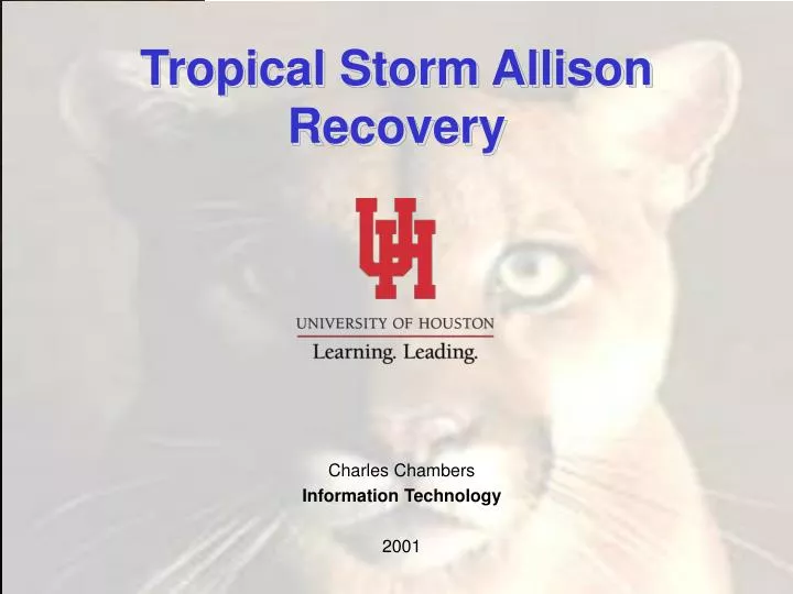 tropical storm allison recovery