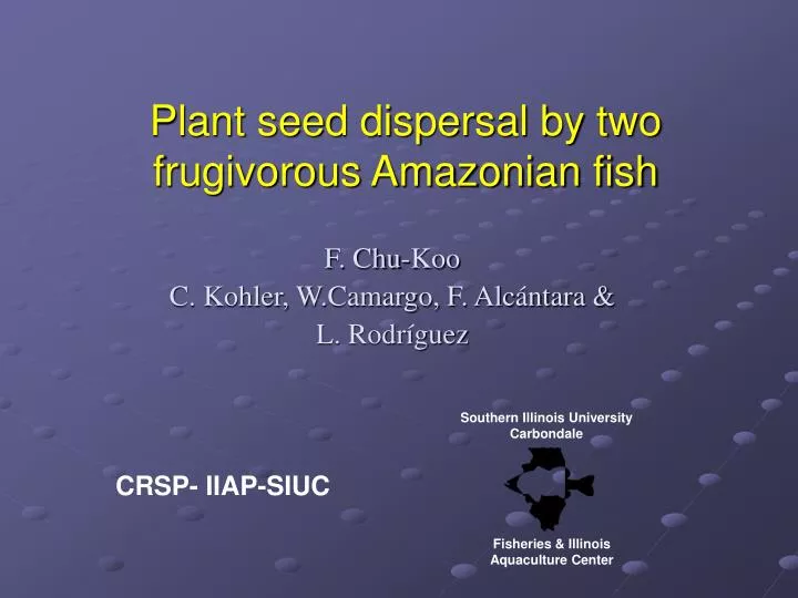 plant seed dispersal by two frugivorous amazonian fish