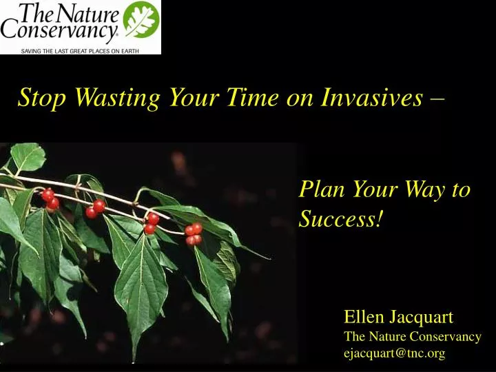 stop wasting your time on invasives