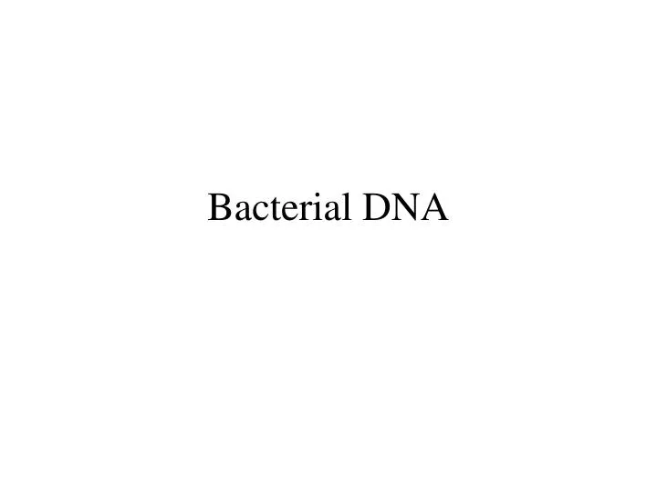 bacterial dna