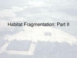 Habitat Fragmentation: Part II