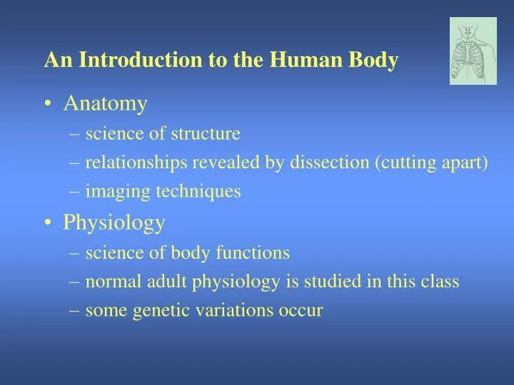 Ppt An Introduction To The Human Body Powerpoint Presentation Free