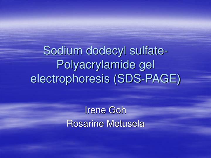 sodium dodecyl sulfate polyacrylamide gel electrophoresis sds page