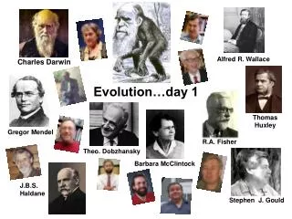 Evolution…day 1