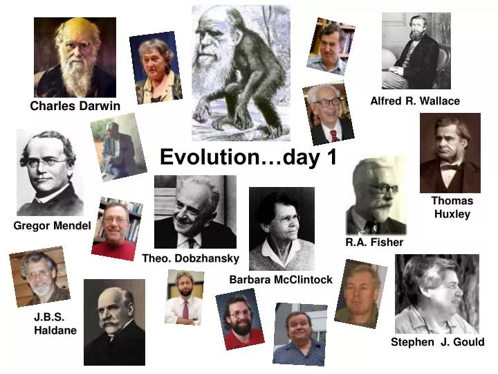 evolution day 1