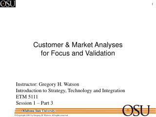 Customer &amp; Market Analyses for Focus and Validation
