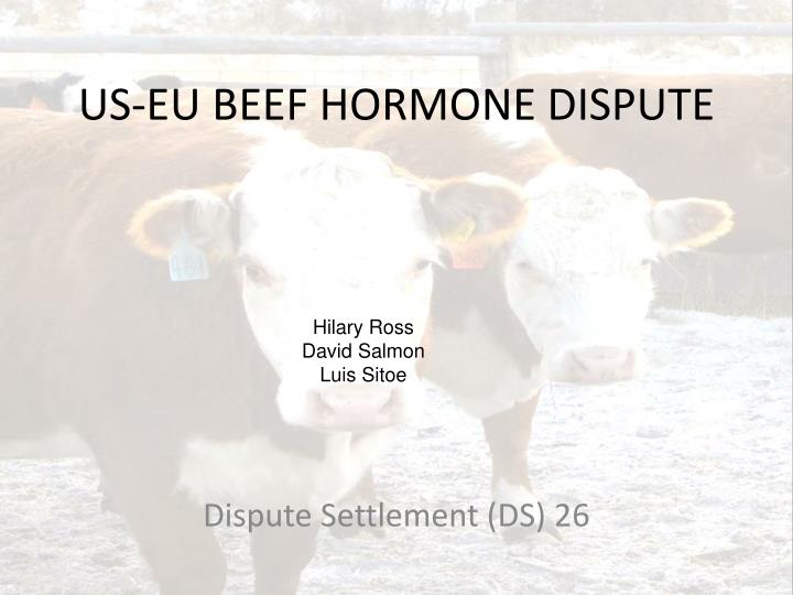 us eu beef hormone dispute
