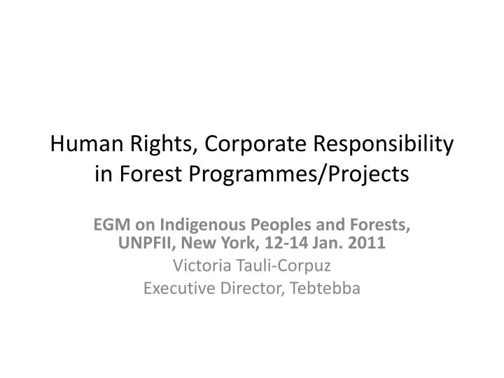human rights corporate responsibility in forest programmes projects