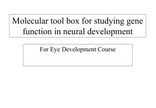 Molecular tool box for studying gene function in neural development