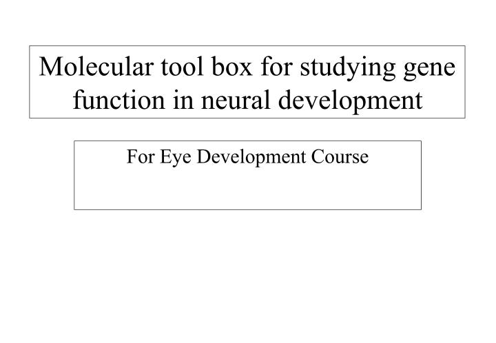 molecular tool box for studying gene function in neural development