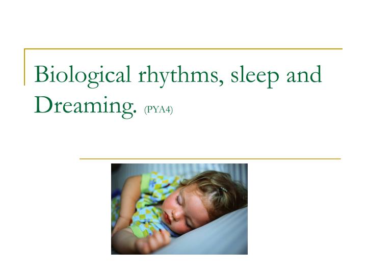 biological rhythms sleep and dreaming pya4