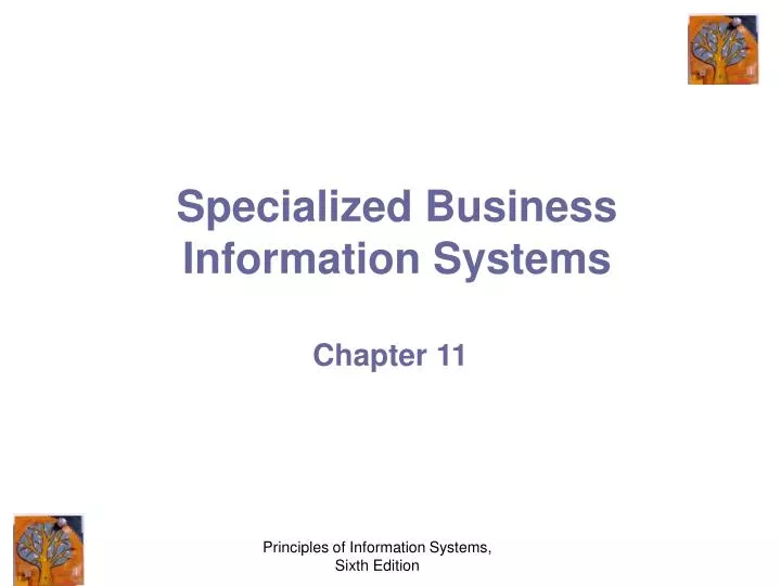 specialized business information systems