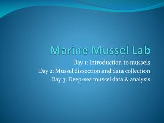 Marine Mussel Lab