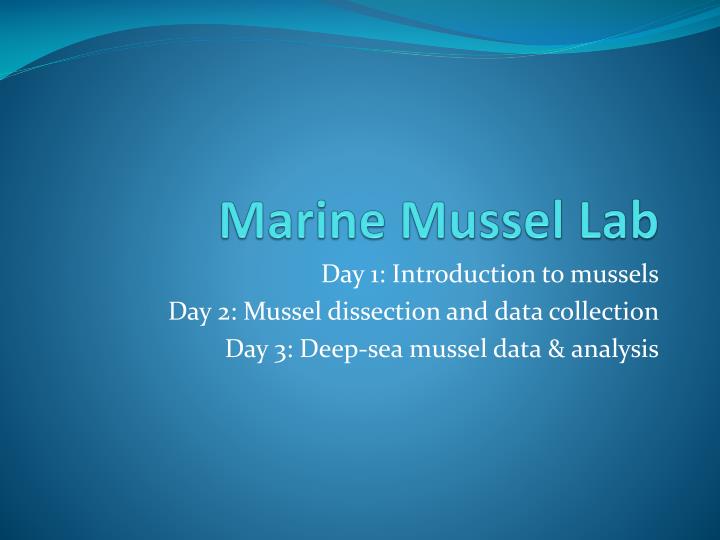 marine mussel lab